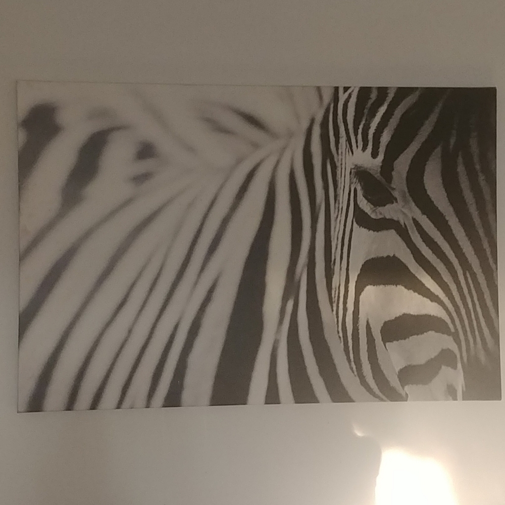 Zebra Print